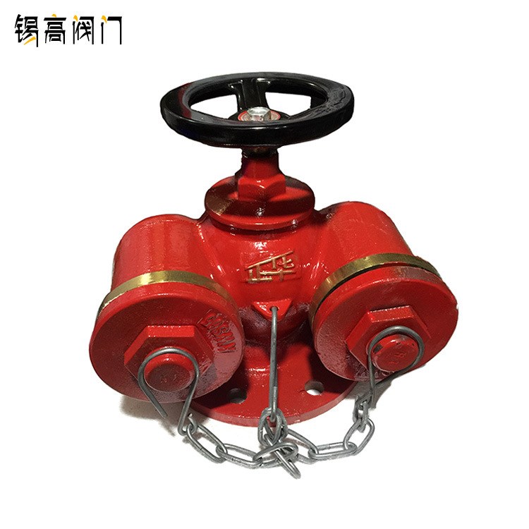 現(xiàn)貨供應(yīng) SQD100-1.6消防水泵接合器 多用式地上消防水泵接合器