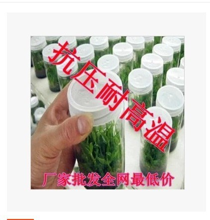 廠家玻璃瓶350ml 240ml組培瓶菌瓶育苗瓶組織培養(yǎng)瓶透氣 耐高溫