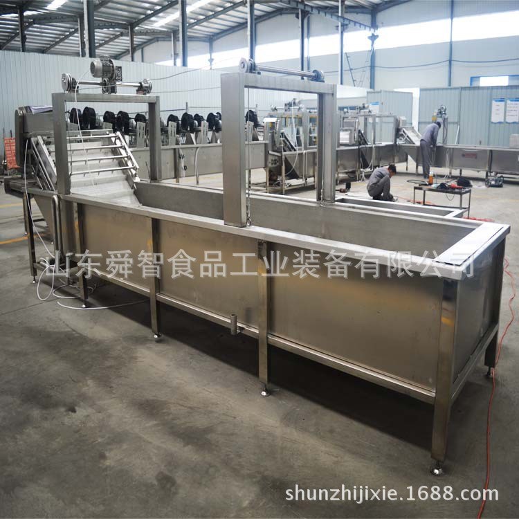 果蔬清洗機廠家  中草藥氣泡清洗機價格 蔬菜清洗機專用設備