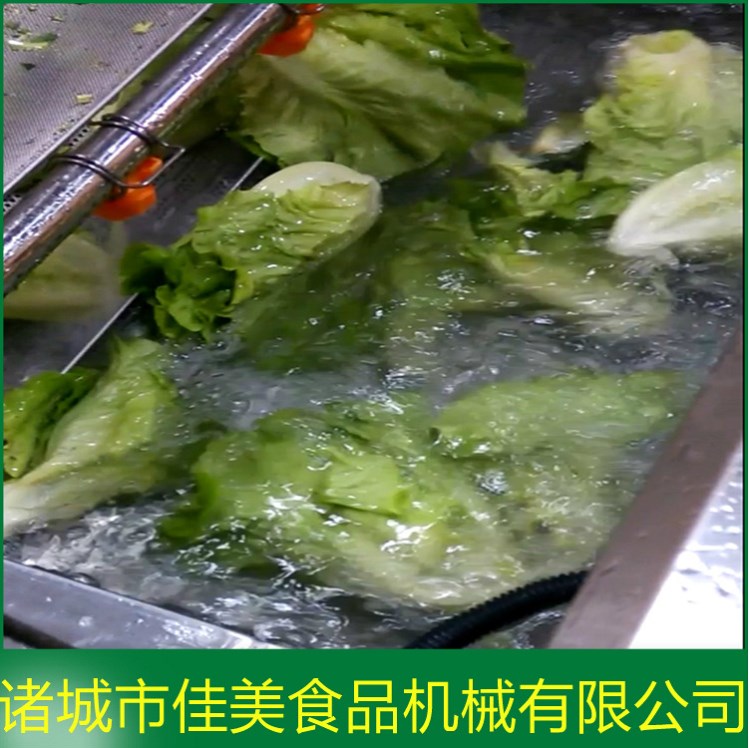 供應(yīng)氣泡清洗機(jī) 草莓清洗設(shè)備 佳美廠家 蔬菜水果專用清洗機(jī)批發(fā)