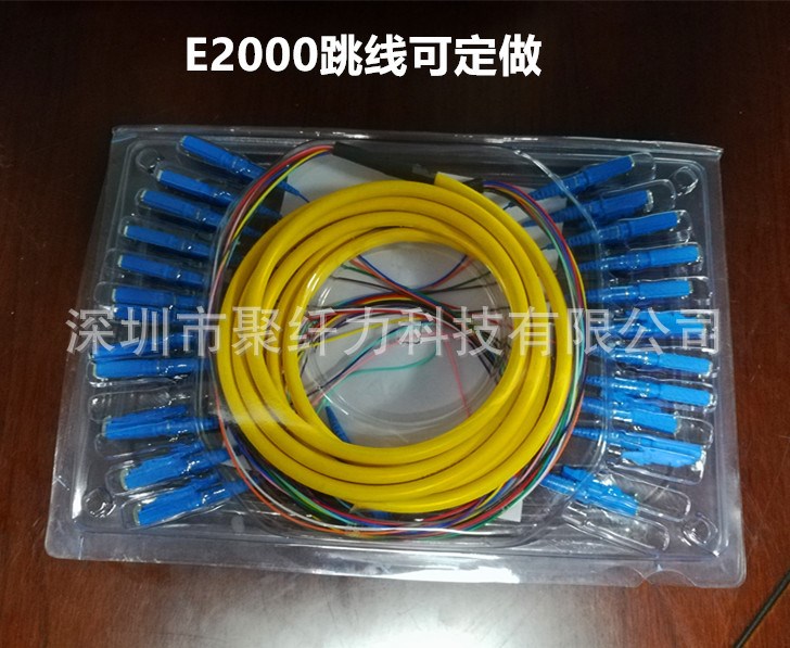 E2000/upc 单模12芯光纤跳线束装尾纤