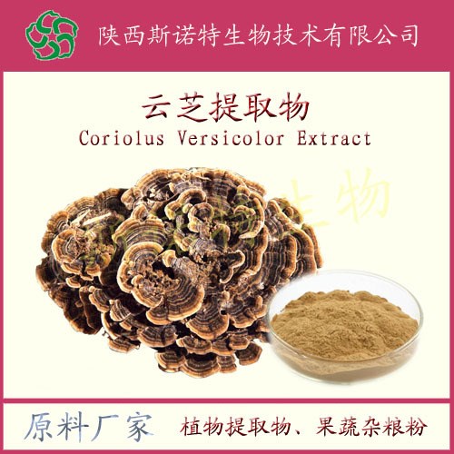 云芝提取物原料 云芝多糖30%廠家