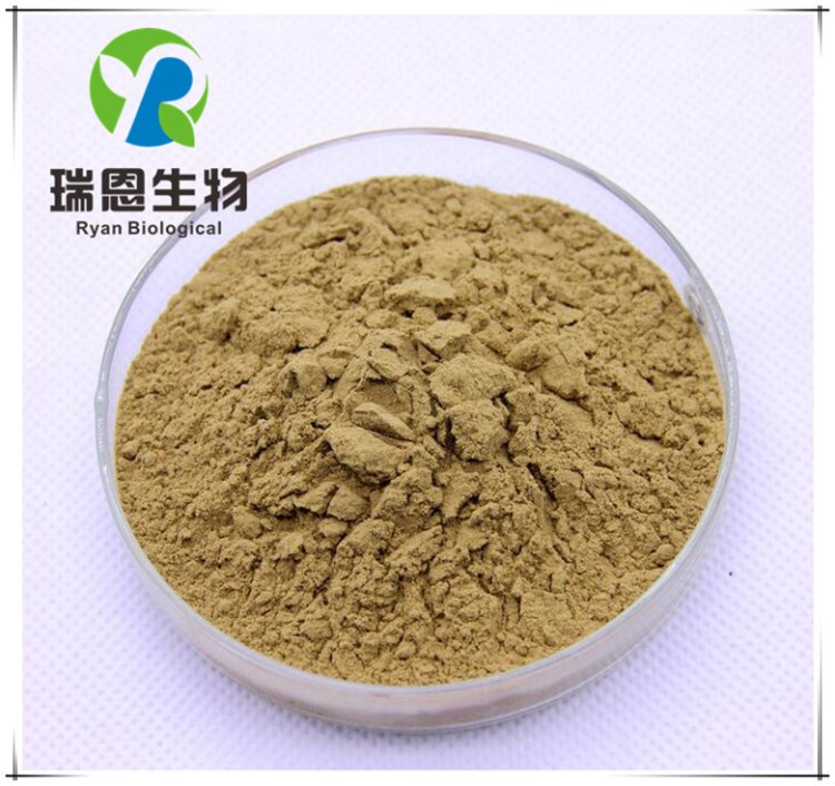 牛蒡根提取物30:1 牛蒡子 廠家直銷 現貨包郵 品質保質1kg起訂