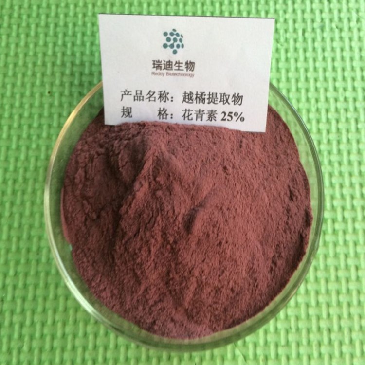 現(xiàn)貨越橘提取物花青素 25%藍(lán)莓提取物 瑞迪生物