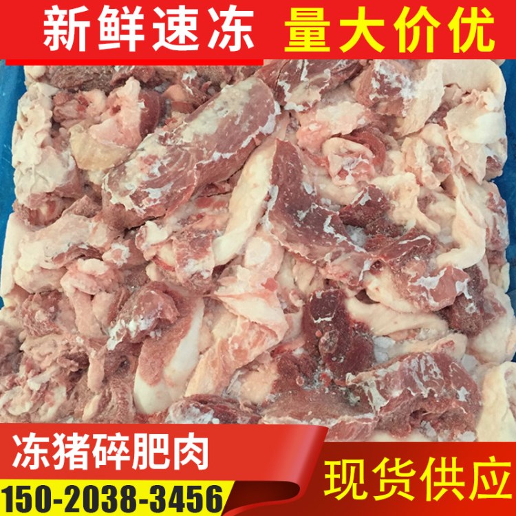 廠家批發(fā)凍豬碎肥肉3:7/4:6 冷凍新鮮豬碎肥肉 冷鮮碎精肉