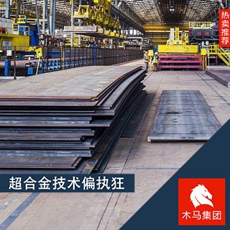 木馬 現(xiàn)貨供應(yīng)武鋼HG785E/HG980D高強(qiáng)度鋼板 附質(zhì)保書