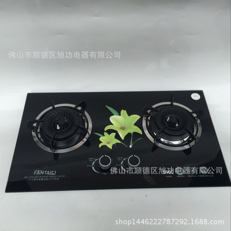 燃氣灶 嵌入式臺式煤氣爐灶具 天然氣液化氣節能猛火雙灶