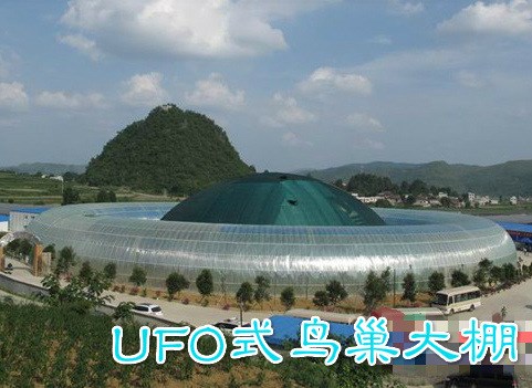廠家供應(yīng) UFO式鳥巢大棚 、多功能生態(tài)餐廳大棚、教育科普溫室