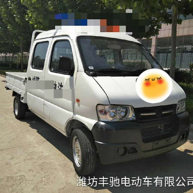 濰坊豐馳新能源電動(dòng)雙排四輪貨車 微型皮卡小貨車 電動(dòng)城管巡邏車