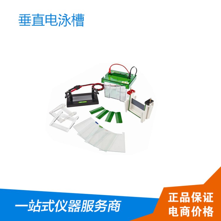 君意東方JY-SCZ2型科研生物 垂直電泳槽 迷你分析蛋白核酸電泳儀