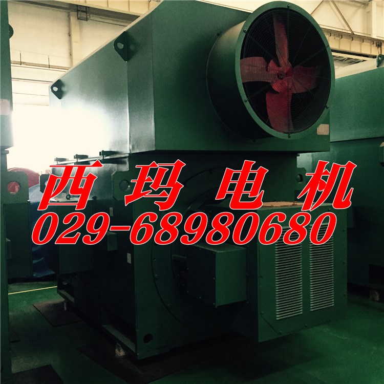 YJTKK6302-8 1000KW 6KV IP54 5-70Hz 6000V泰富西瑪高壓變頻電機