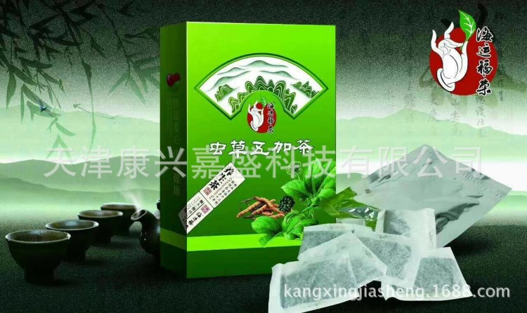 蟲草五加茶雪蓮松茸茶人參地黃茶靈芝枸杞茶養(yǎng)生茶葉袋茶贈(zèng)品禮品