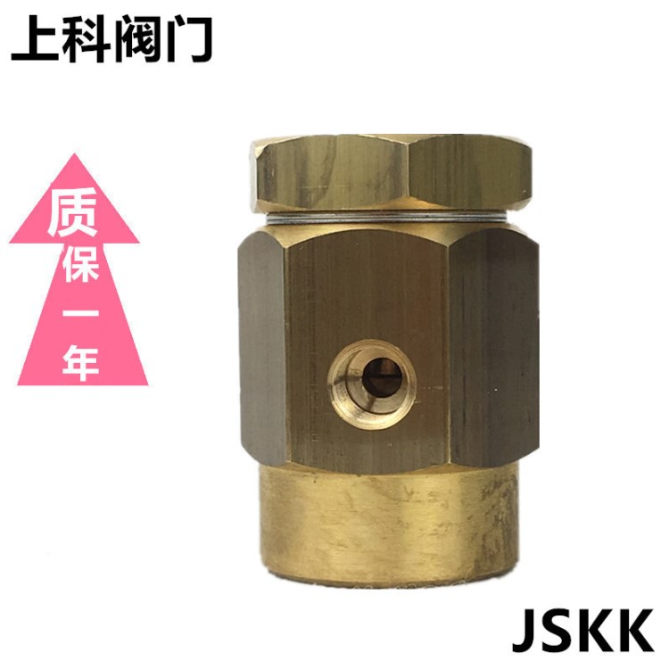 斯派莎克破真空器 VB14黄铜 VB21冷凝蒸汽(蒸 汽)和液体系统DN15