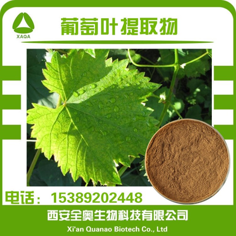 葡萄葉提取物 10:1葡萄藤提取物 現(xiàn)貨包郵 葡萄藤葉提取 葡萄葉粉