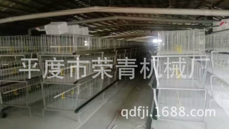 厂家直销畜牧养殖设备 肉蛋鸡各种鸡笼 可加工定制 1