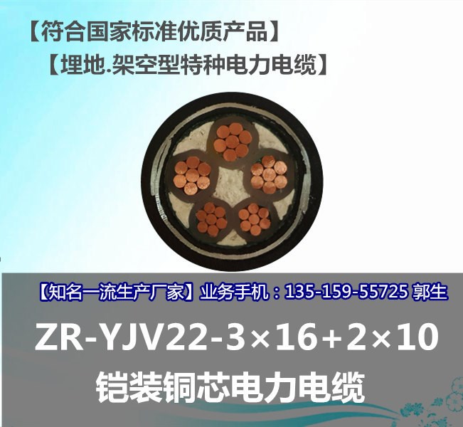 YJV22-3&times;16+2特種埋地 架空 包鐵皮 鎧裝電力電纜 銅芯鋁皆有