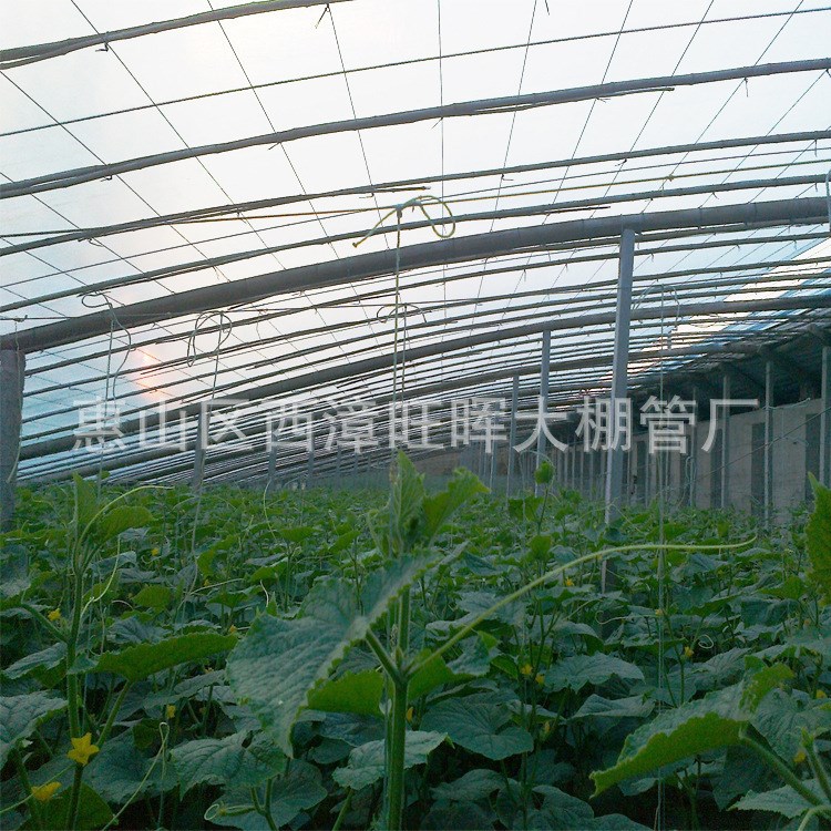 簡易蔬菜種植大棚 單體棚 大棚骨架  旺暉大棚建造 歡迎咨詢