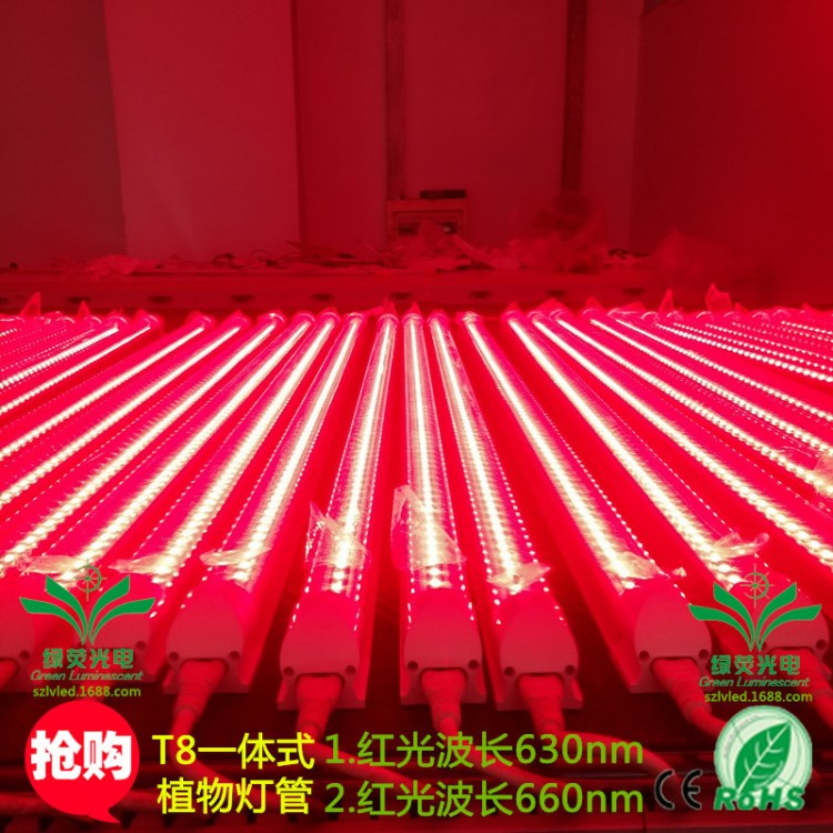 led植物燈 紅光波長660nm 適合蔬果培育多肉補光燈 led植物生長燈