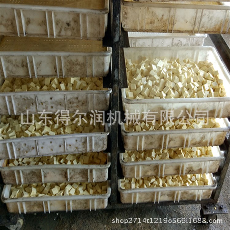 連續式炸豆制品流水線 大型量魚豆腐生產線 DER豆泡油炸工藝
