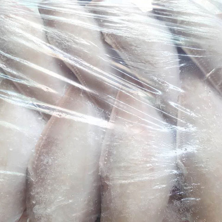 經銷新鮮海鮮食品馬面魚30/50 冷凍橡皮魚冷藏剝皮魚小馬面10KG