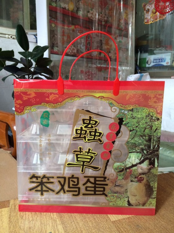 供應(yīng)雞蛋手提袋大60枚農(nóng)家雞蛋手提兜 雞蛋禮品盒 廠家直銷