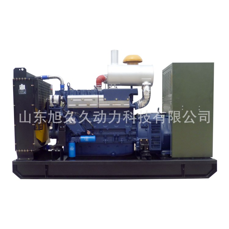 100KW燃?xì)獍l(fā)電機(jī)組 天然氣沼氣通用 環(huán)保節(jié)能發(fā)電機(jī)組