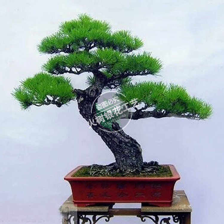 盆栽樹(shù)木雕塑 小型盆栽綠色植物仿真綠色雕塑 辦公室家用裝飾觀賞