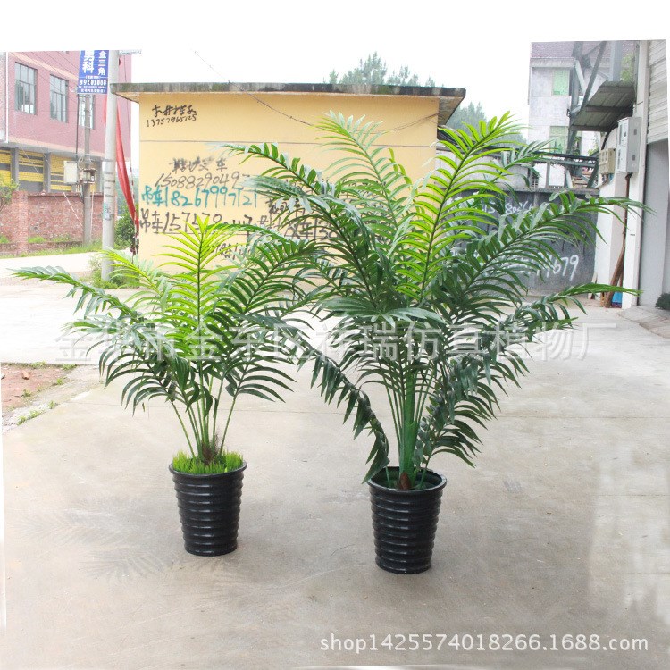 仿真棕櫚葉植物1.8米散尾葵葉樹過膠葵葉細(xì)葵葉落地盆景裝飾批發(fā)