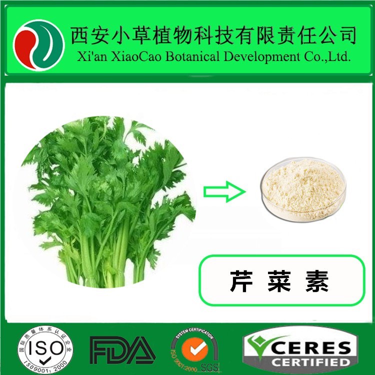 芹菜提取物厂家大量现货供应 芹菜素 现货