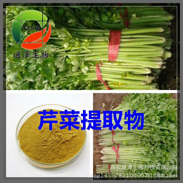 芹菜提取物10：1 芹菜籽原料萃取粉 芹菜梗提取物