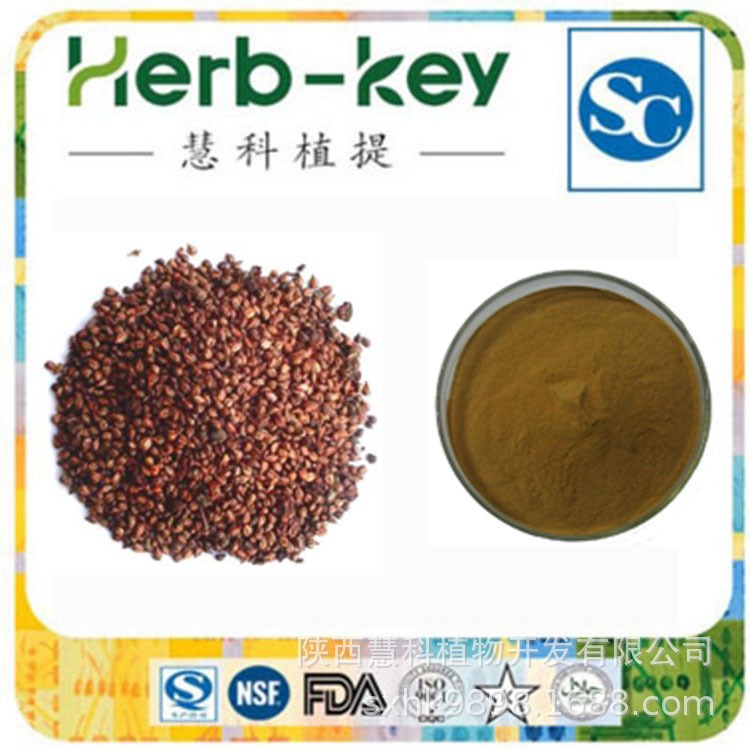 芹菜籽黃酮10：1 陜西慧科 廠家直銷 現(xiàn)貨包郵 芹菜籽提取物
