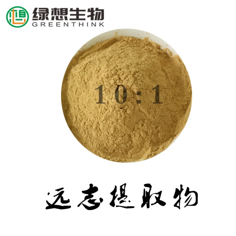 遠志提取物 10:1  源頭廠家批發(fā) 大量現(xiàn)貨供應 遠志提取物