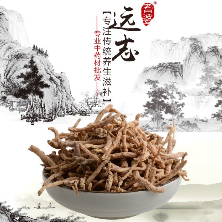 远志 散装批发 葽绕 蕀蒬 棘菀 线儿茶 小草根 神砂草