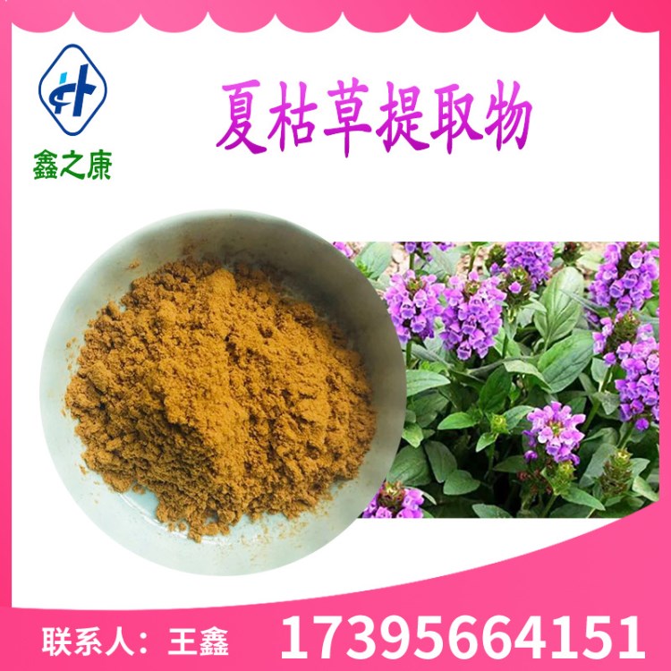 夏枯草提取物10：1  廠家現(xiàn)貨 保健品原料 夏枯草粉 1kg起訂