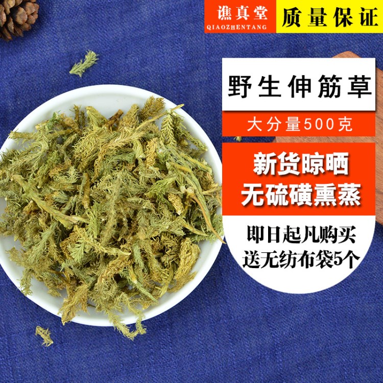 野生伸筋草500g 新貨生筋草   生筋草 舒筋草 另有遠(yuǎn)志益智仁