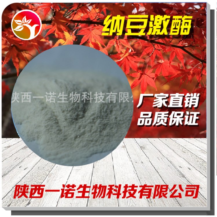 納豆激酶提取物 20000fu 納豆激酶粉 100g包裝納豆激酶現(xiàn)貨出售