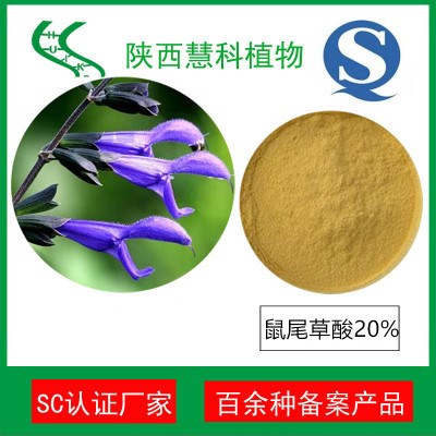 陜西慧科植物 鼠尾草提取物10:1 鼠尾草酸 QS廠家