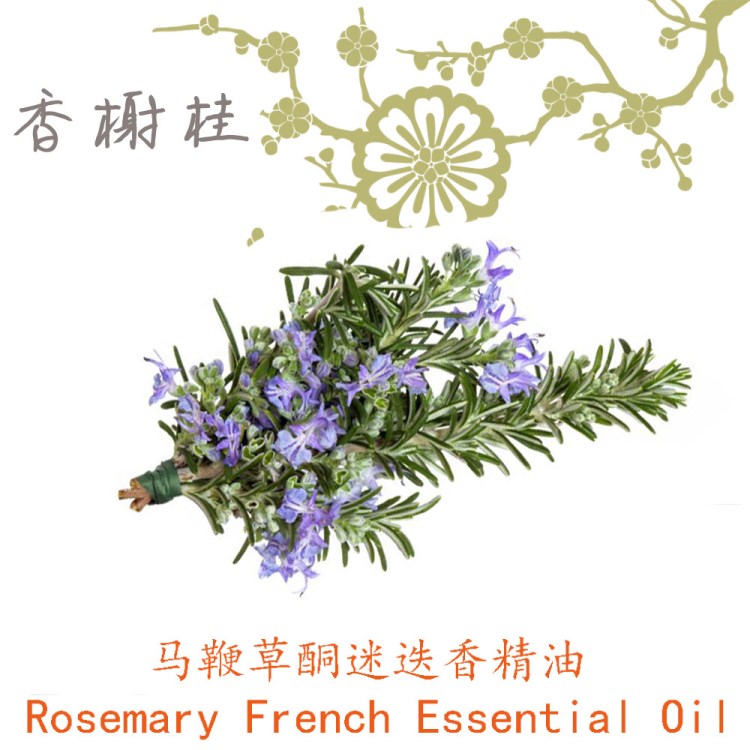 馬鞭草酮迷迭香精油 Rosemary French 法國單方精油 10ML起訂