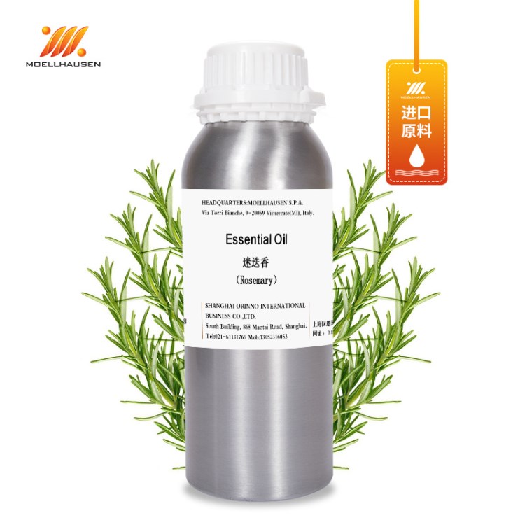 Moellhausen莫里森摩洛哥迷迭香精油Rosemary EO 精油批發(fā)