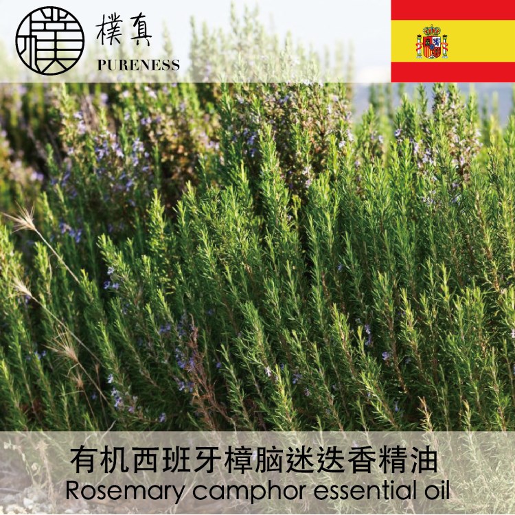 西班牙有機(jī)樟腦迷迭香精油Rosemary camphor臺(tái)灣樸真