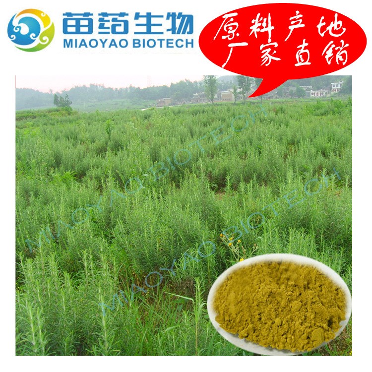 基地低價供應(yīng)迷迭香提取物 抗氧化劑 鼠尾草酸20%