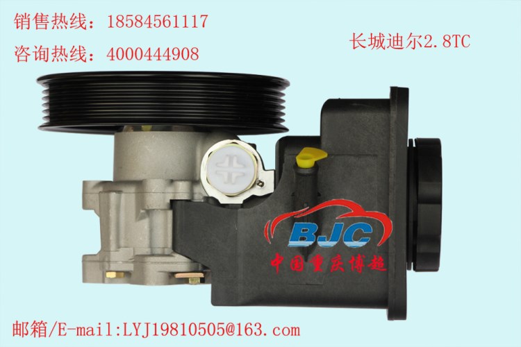 長(zhǎng)城迪爾2.8TC帶壺助力泵Great Wall  Power steering pump