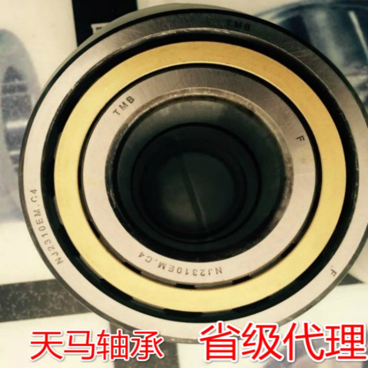 N2217E 天馬 TMB 圓柱滾子軸承 2517E 85mm*150mm*36mm