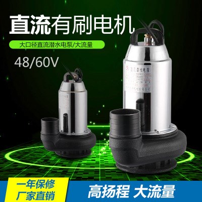 48V60V有刷直流潛水泵戶外農(nóng)業(yè)灌溉電動車抽水泵高揚程大流量三寸