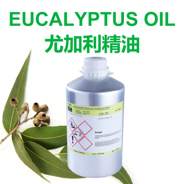 绿色植物尤加利EUCALYPTUS具香胶特质促进结疤抗感染解除充血清澈