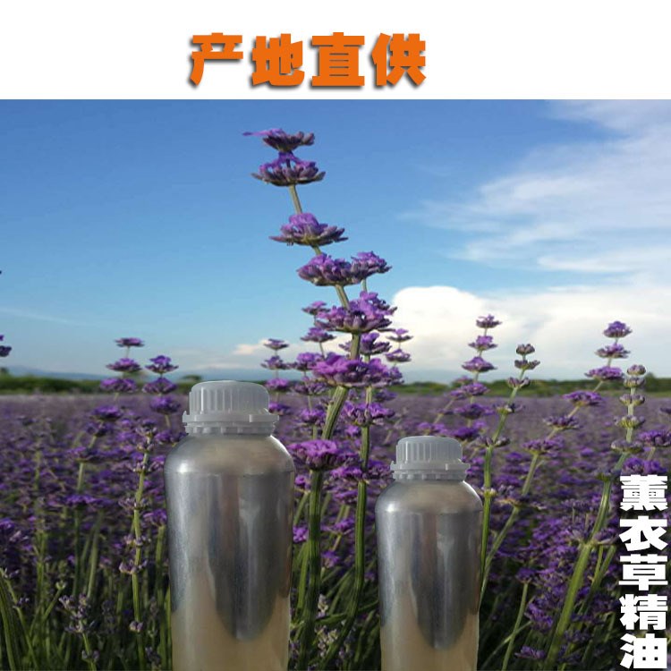 薰衣草精油批發(fā)新疆伊犁法國藍薰衣草單方精油自產(chǎn)自銷薰衣草精油