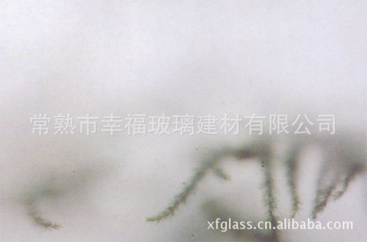 8mm 玉砂蒙砂玻璃 美国SGCC 澳大利亚AS/NZS2208 欧洲EN12150