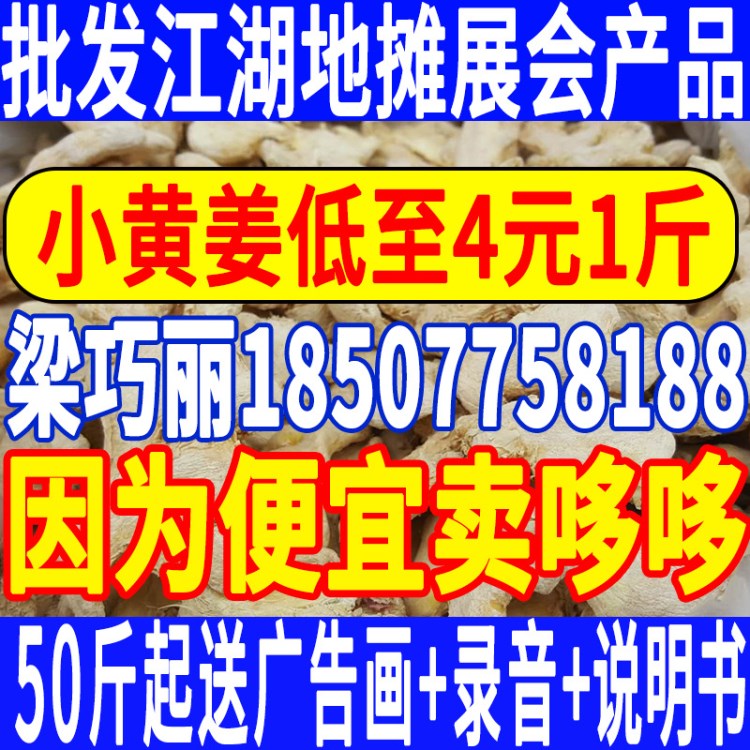 小黃姜批發(fā) 云南小黃姜 跑江湖地攤展銷會干姜 姜塊 地攤干姜批發(fā)