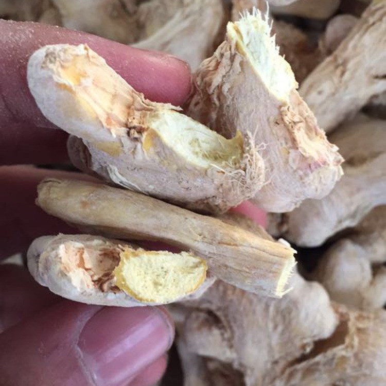 批量供應新鮮姜塊 干姜 干姜片 烹飪調味品