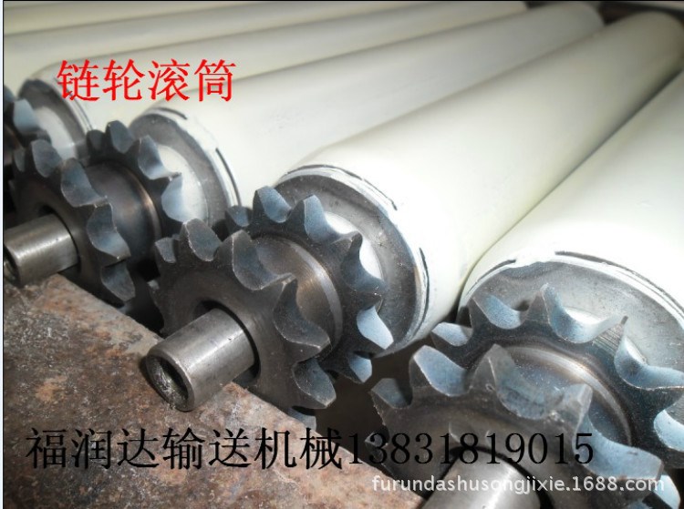 輥道輸送線 自動(dòng)輸送機(jī)  雙鏈輪傳動(dòng)托輥 動(dòng)力滾筒